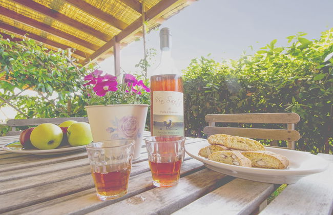 Agriturismo Poggio Pistolese - Photo 13