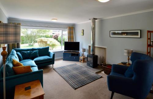 March Brown - Foto 3