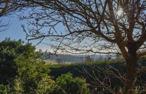 The Studio - Foto 24