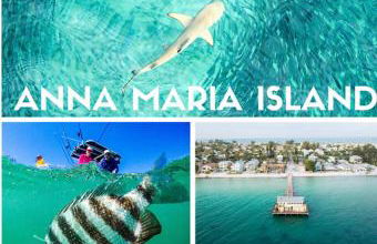 NEW Renovated luxury home with private heated pool, game room Near Anna Maria Island and IMG - Photo 34