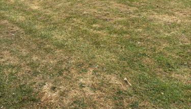 Florida site 116 - Foto 2