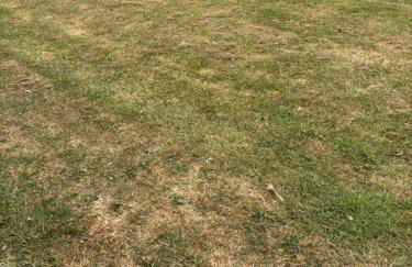 Florida site 116 - Foto 2