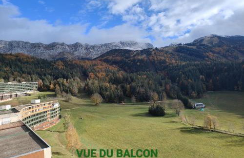 Appartement 50m2 vue imprenable avec garage draps et serviettes compris - Foto 18