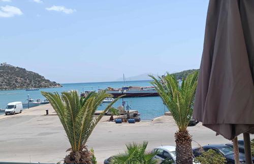 Hermione Horizon - Foto 4