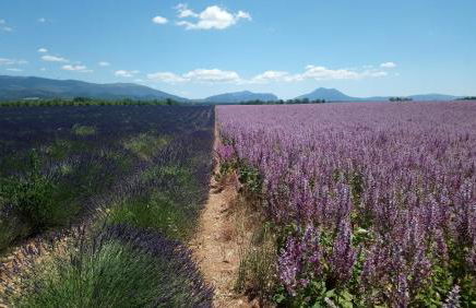 Maison du Portail - Foto 10