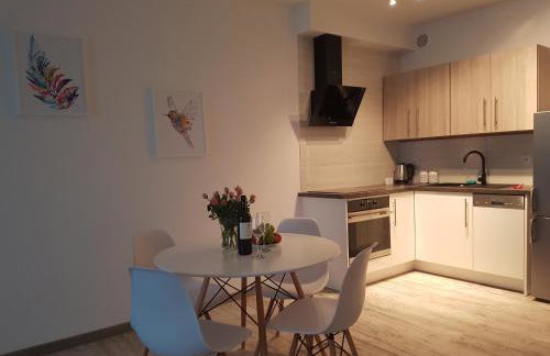 Caskada Modern Apartments 2 NOWY APARTAMENTOWIEC WINDA - Photo 39