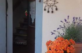 Linhal das Meias - São José das Matas - Foto 12