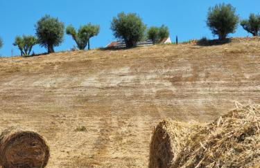 Borgo Barone - Foto 8