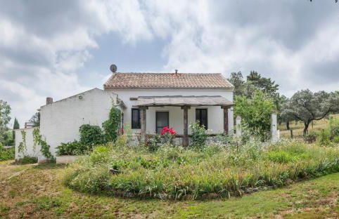 La Umbría de la Ribera - Foto 38