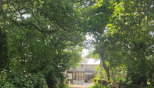 WITERICUS hospedaxe - Foto 4