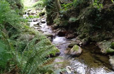 El Rinconin de Degu - Photo 18