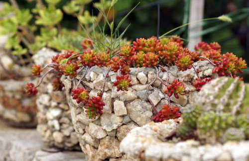 Apartments Solta - Foto 44