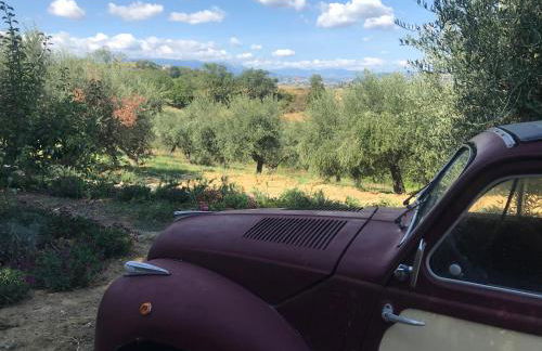 Casale Vincenzo Country House - Foto 41