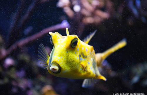 BEACH apartment 4 people - Foto 17