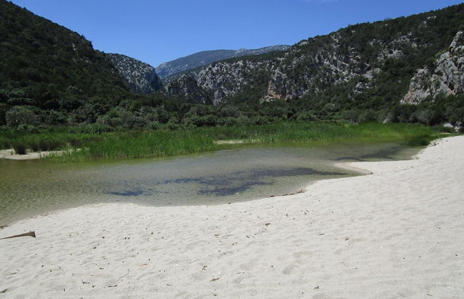 Agriturismo Su Tiresi - Foto 52