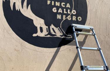 Mallorca Finca Gallo Negro Santanyi Campos - Foto 17