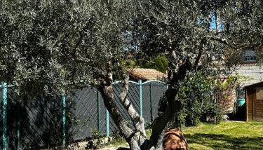 Amplio y Cómodo chalet a 15 minutos del centro con piscina y pistas de tenis - Foto 2