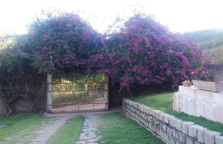 Refúgio na Serra - Photo 3