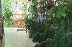 Belíssima Casa Condominio e Mar - Foto 69