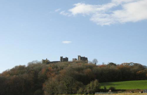 Springer Cottage - Foto 21