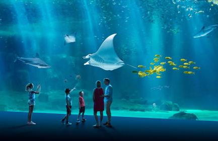 Maison de ville proche CNPE et plage - Foto 21