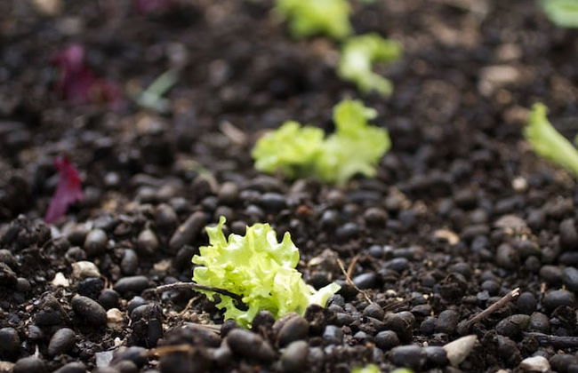 Cute Yellow Handmade House With Garden - Foto 37