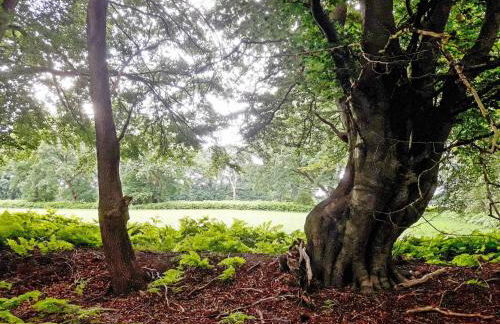 Chalet Trollstua by Interhome - Foto 94