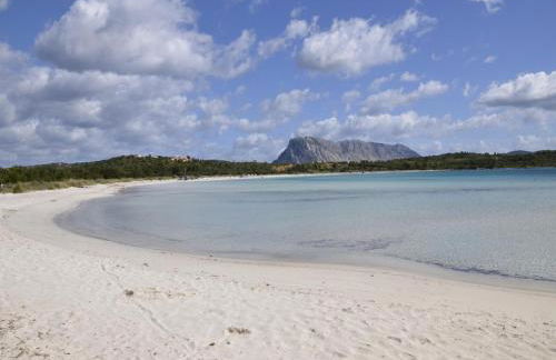 Seaside apartment near Budoni - Foto 25