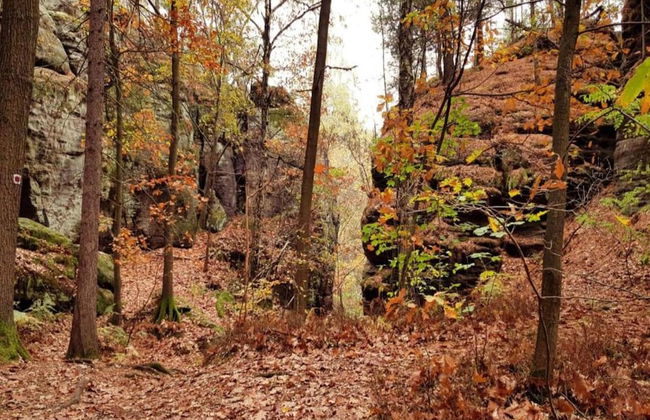Ferienwohnung, Struppen - Foto 30
