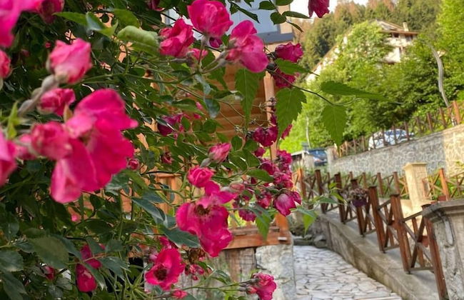 Ayder Bulut Dag Evi - Photo 23