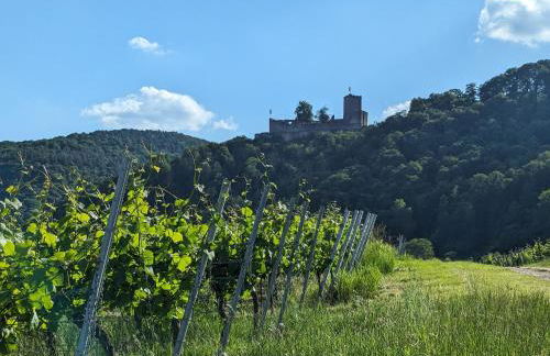 Ferienhaus Rustika - Foto 55