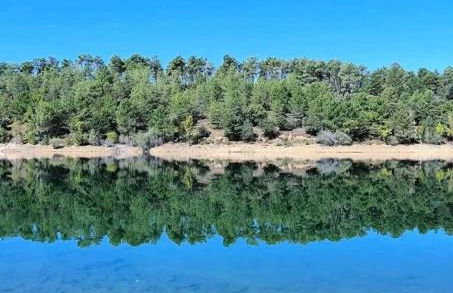 Cabaña del olivo - Photo 20