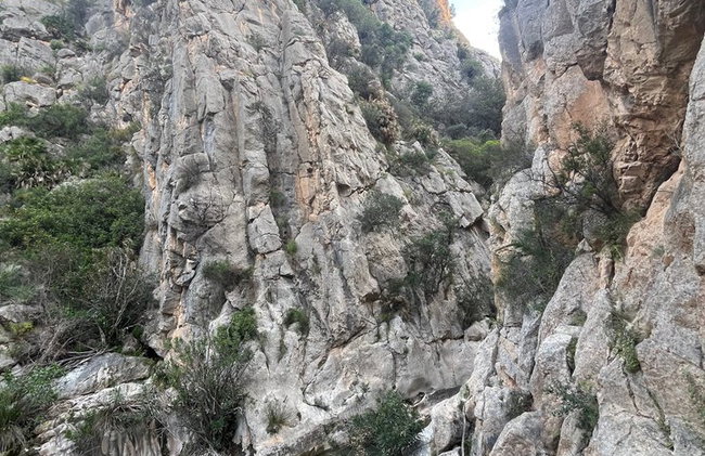 Turismo Privado Cascadas del Algar en Coche (Grupos Pequeños) - Foto 4