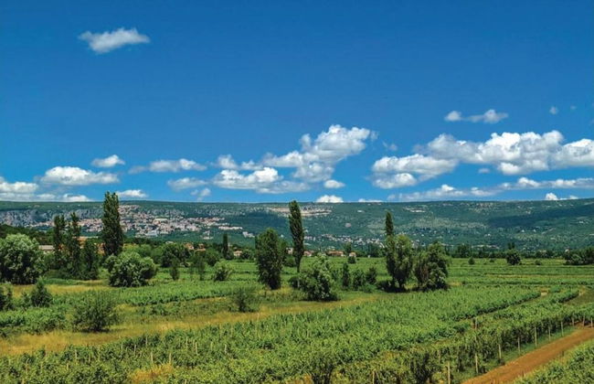 Charming Vineyard Escape - Foto 19