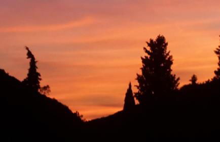 Come a casa - Foto 49