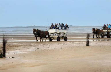 Haus Horizont Fewo Nr 21 - Foto 15