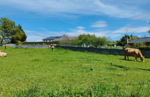 La casa de Angel y Olimpia - Photo 44