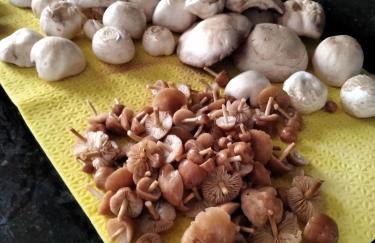 Casa las Niñas - Photo 8