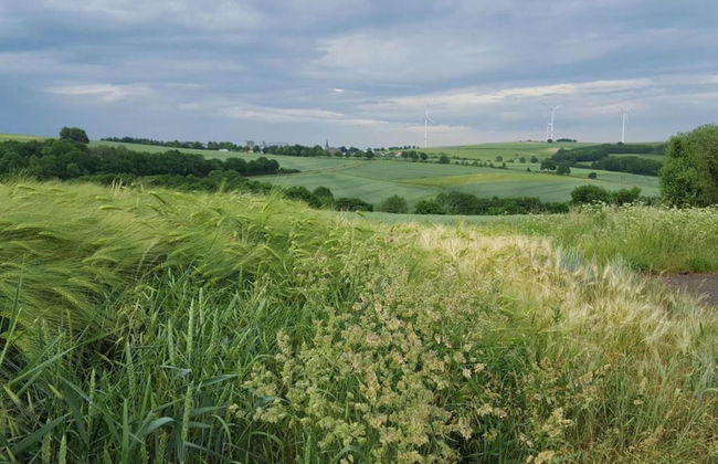 Quaint Apartment in Kaifenheim near Forest - Foto 37