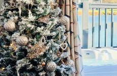 Ella Lodge - Foto 34