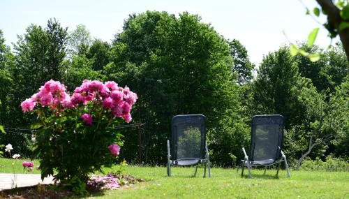 Apartment Mlađen - Foto 5, Garden