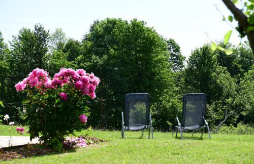 Apartment Mlađen - Foto 5