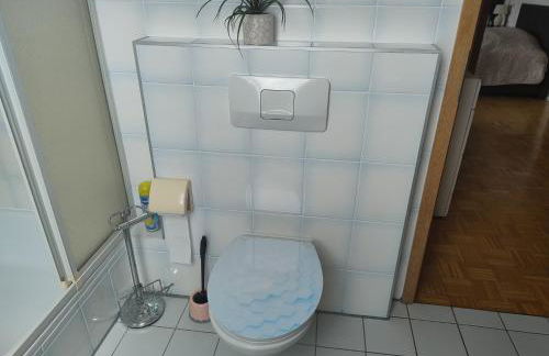 Geräumiges Appartment Nahe Hannover Messe - Foto 3