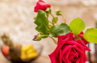 Gîte troglodyte - Troglo du Pontcher - Photo 24