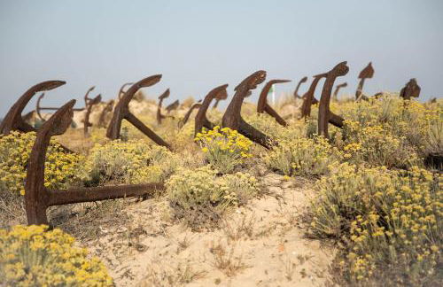 Beach House Pedras D'el Rei - Foto 63