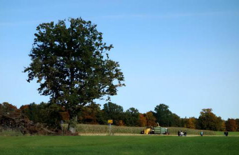 Haus am Hof - Foto 35