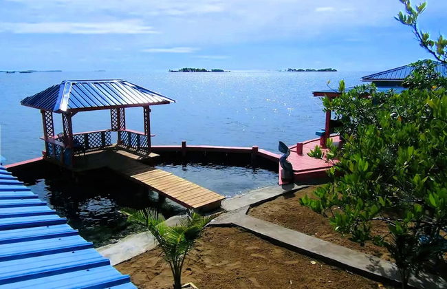 Bird Island Placencia - Foto 16