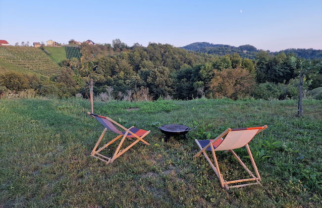 Vineyard cottage Vinska grajska kašča - Foto 45