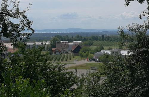 Apartment Green Elephant - Foto 34