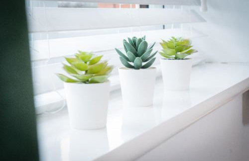 Comfortable 3-bedroom Bolton home - Photo 5